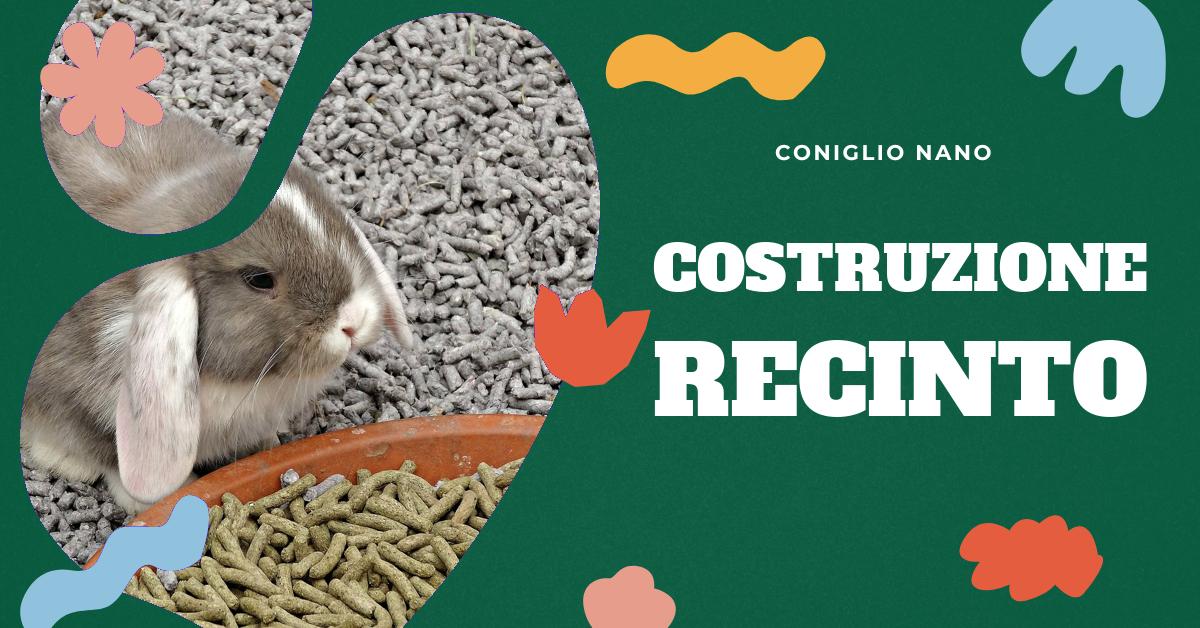 Scopri come costruire un recinto per conigli fai da te con la nostra guida passo-passo. Trova consigli utili, idee creative e suggerimenti per personalizzare il tuo recinto. Ideale per gli amanti dei conigli domestici che cercano soluzioni economiche e flessibili.