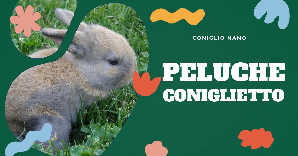 Scopri tutto sul coniglio rosa! Da idee per costumi e trucchi, a peluche e decorazioni per feste, fino a storie e libri per bambini con questo adorabile personaggio. Per gli amanti dei conigli e non solo.