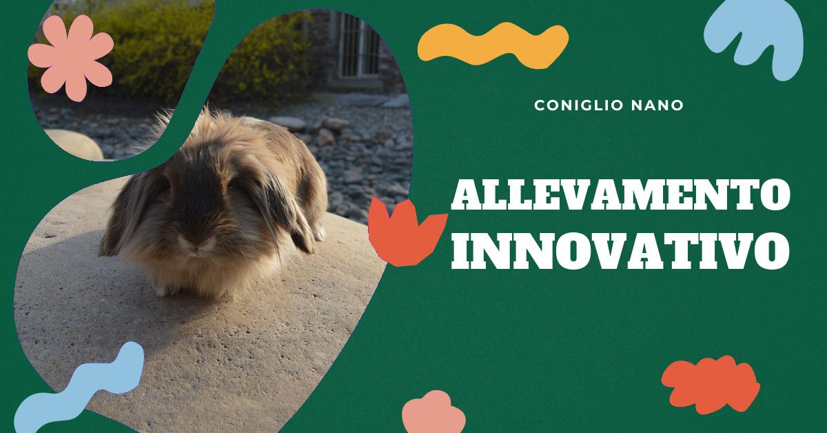 Scopri strategie all