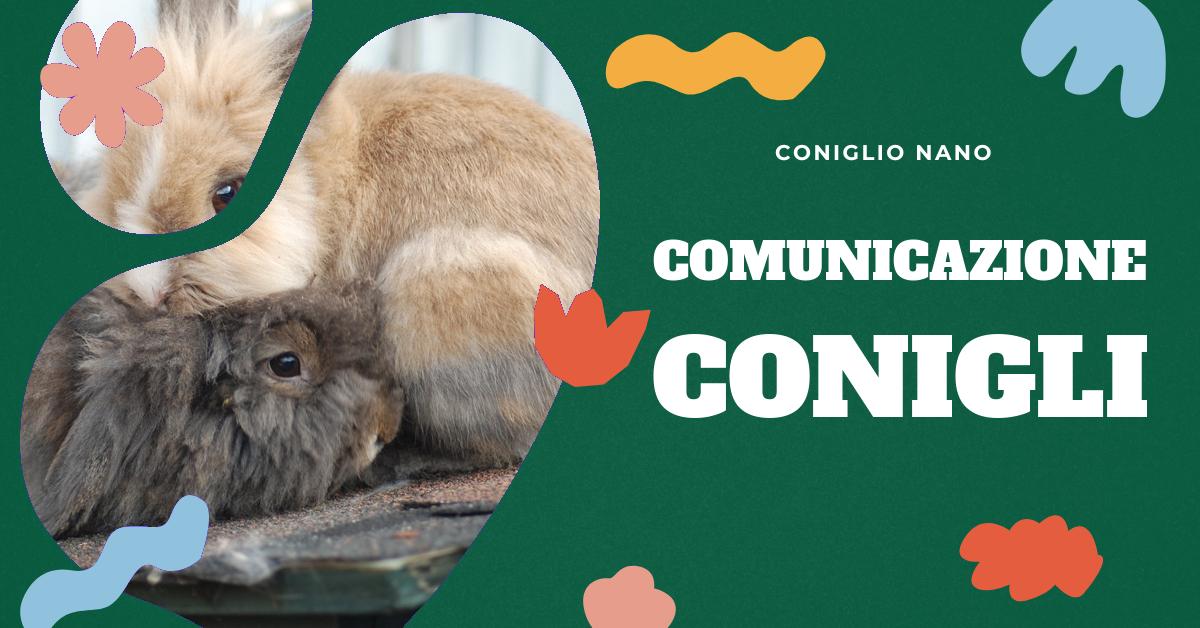 Scopri come interpretare le diverse vocalizzazioni e suoni del tuo coniglio nano. Trova informazioni dettagliate su cosa significano i suoni emessi dal tuo coniglio e come rispondere in modo appropriato per garantire il suo benessere. Ottieni consigli su come gestire e comprendere il comportamento del tuo coniglio domestico.