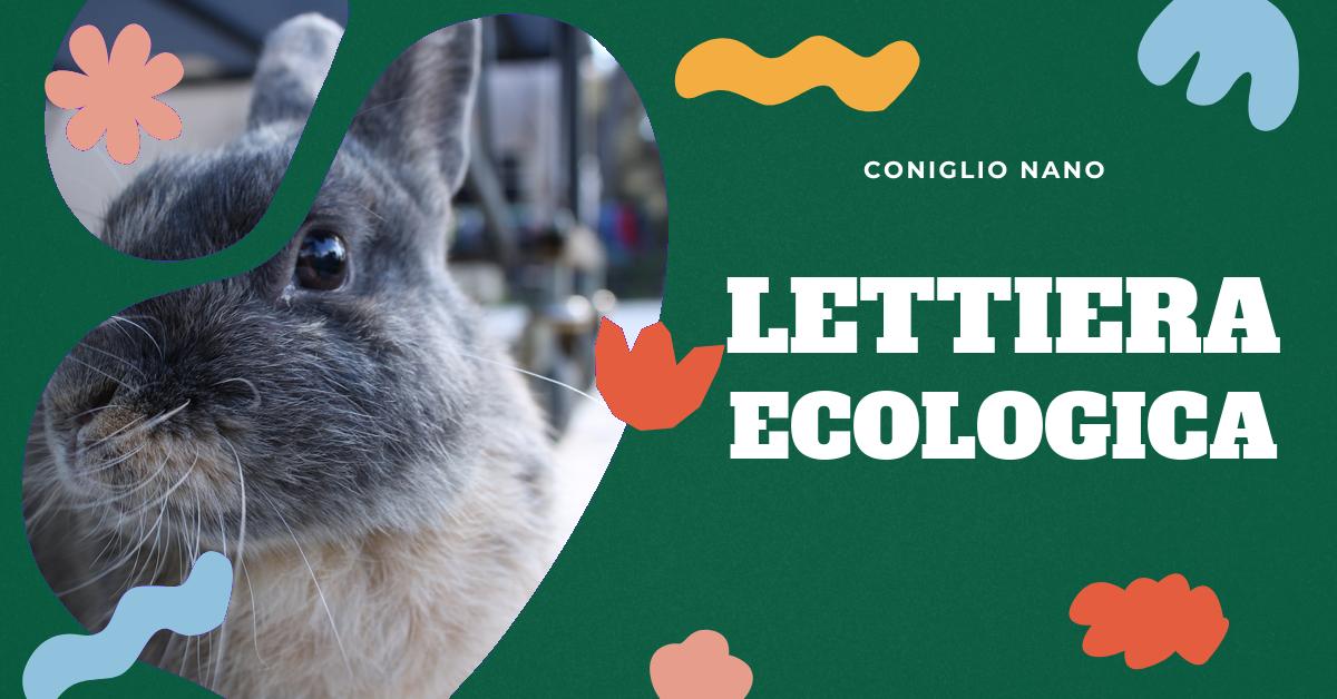 Scopri come creare una lettiera per conigli fai da te con la nostra dettagliata spiegazione. Trova consigli su addestramento alla lettiera in base all
