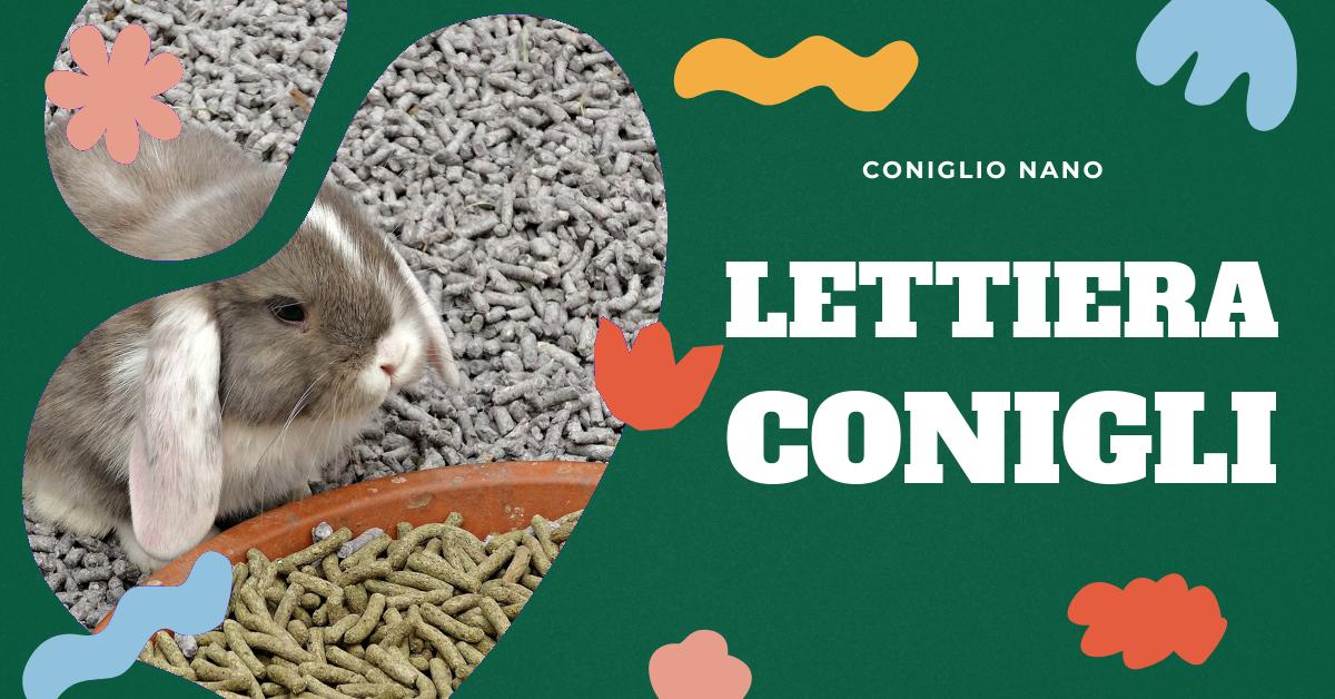 Scopri quali materiali sono più adatti per la lettiera del tuo coniglio. Approfondisci l