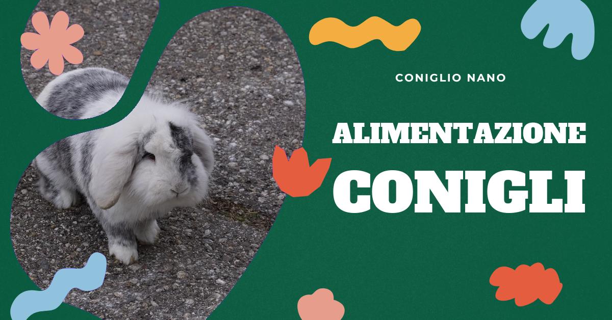 Scopri tutto quello che c