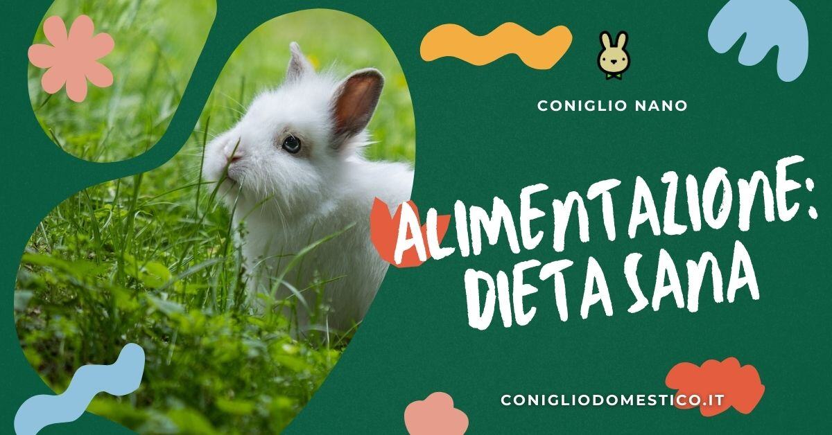 alimentazione-dieta-sana-coniglio