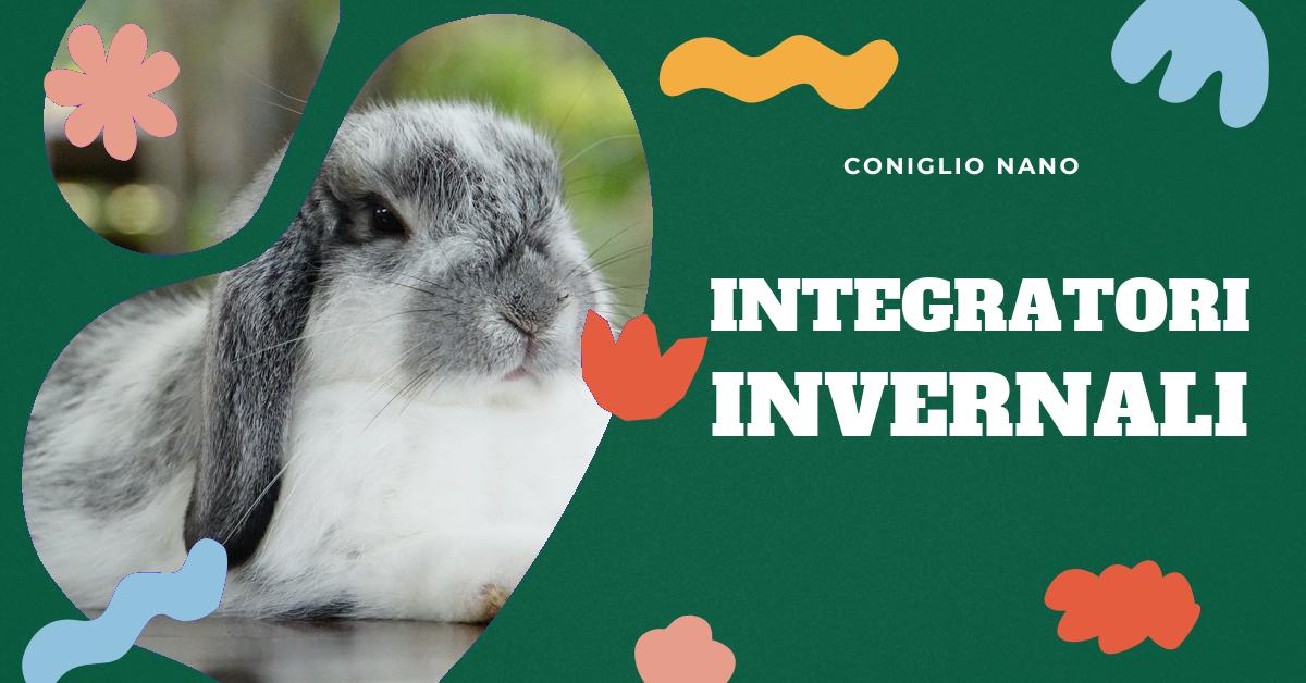 Scopri quali integratori sono benefici per i conigli nani in inverno. Trova consigli su come scegliere e utilizzare gli integratori per garantire la salute del tuo coniglio durante i mesi freddi. Approfondisci l