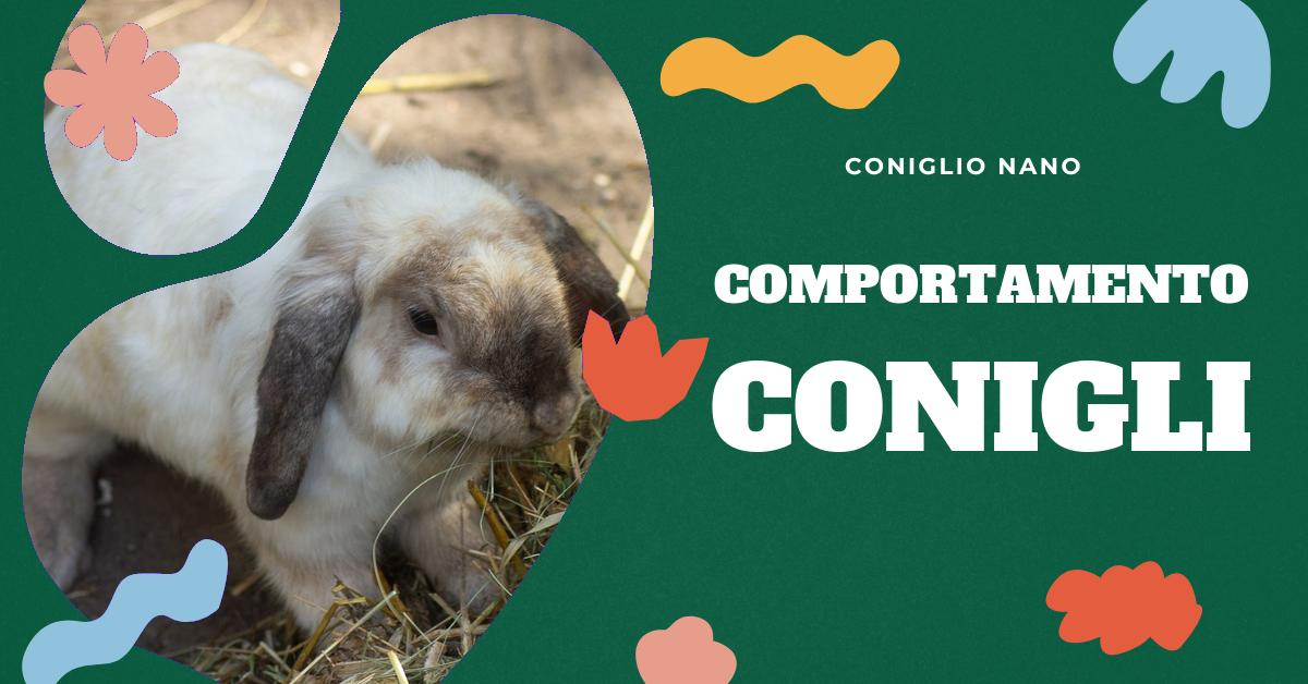 Scopri il significato del comportamento del tuo coniglio, compreso il scodinzolio. Approfondisci il linguaggio dei conigli, i loro segnali di comunicazione e come interpretare i loro comportamenti per una migliore comprensione del tuo amico peloso.