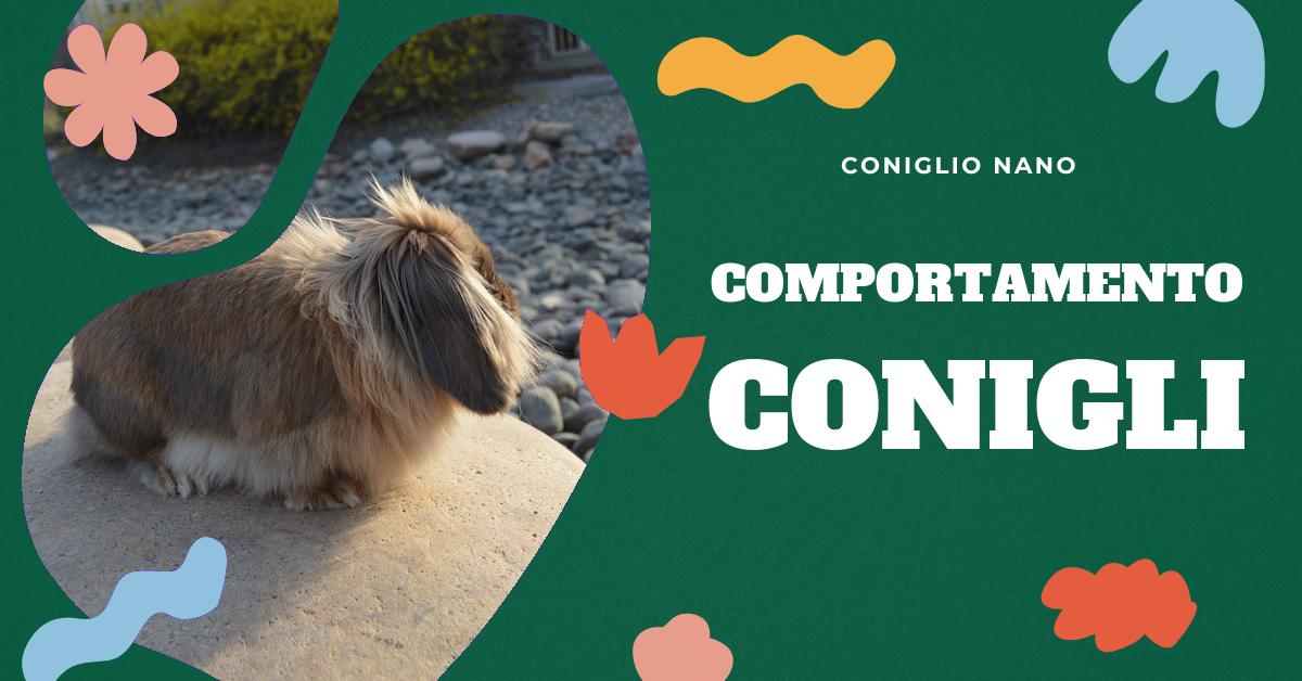 Scopri come i conigli manifestano la paura attraverso versi, linguaggio del corpo e comportamenti aggressivi. Trova consigli su come calmare un coniglio spaventato e creare un ambiente sicuro per il tuo amico peloso. Ottieni informazioni dettagliate sul comportamento dei conigli quando hanno paura.