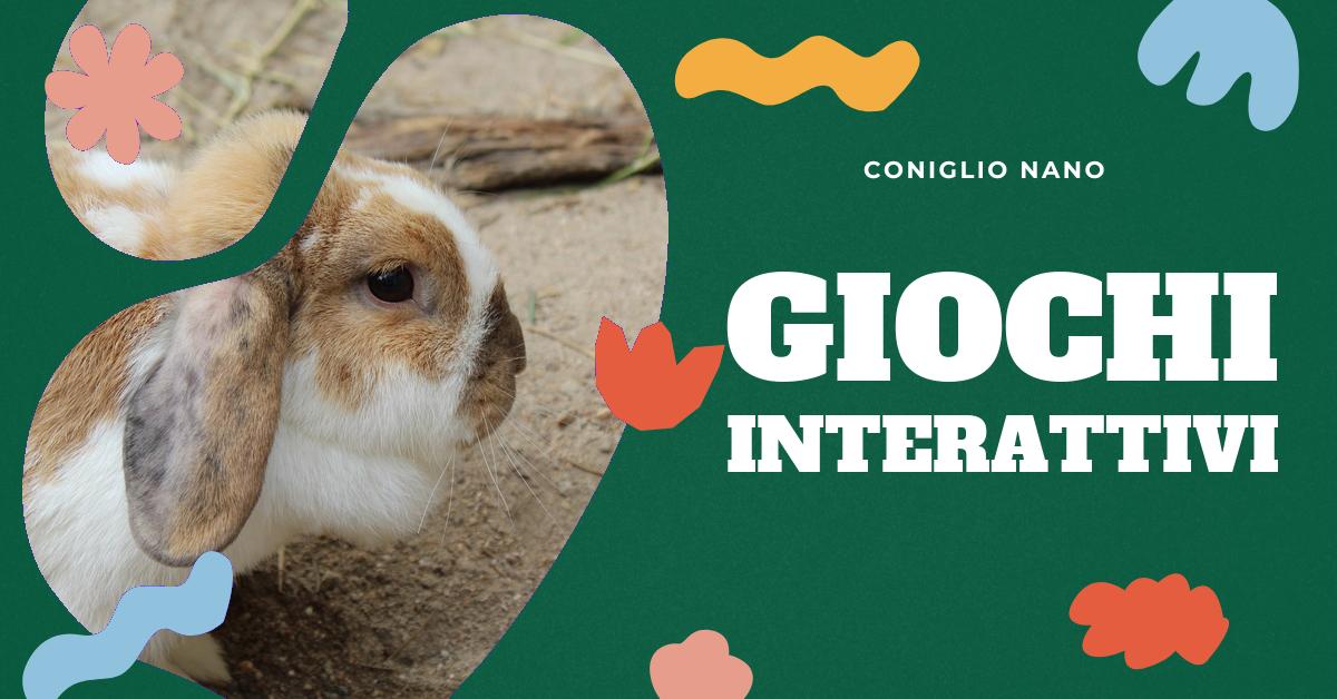 Scopri come rafforzare il legame con il tuo coniglio nano attraverso attività interattive divertenti e stimolanti. Impara a interpretare i segnali di affetto e i comportamenti tipici dei conigli nani per favorire il loro benessere e migliorare il vostro rapporto. Trova risposte alle domande frequenti sul legame con il coniglio nano.