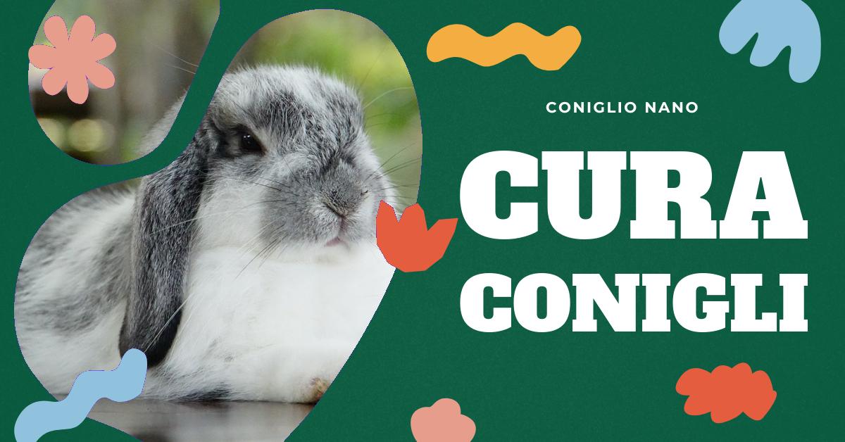 Scopri come prenderti cura del tuo coniglio domestico con consigli su alimentazione, comportamento e salute. Trova informazioni su come tenere un coniglio nano in casa, quali frutta e verdura sono adatte per la sua dieta e come mantenere il tuo piccolo amico felice e in salute.
