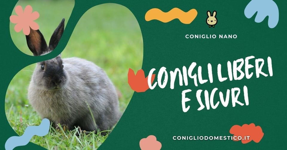 cover-conigli-liberi-e-sicuri