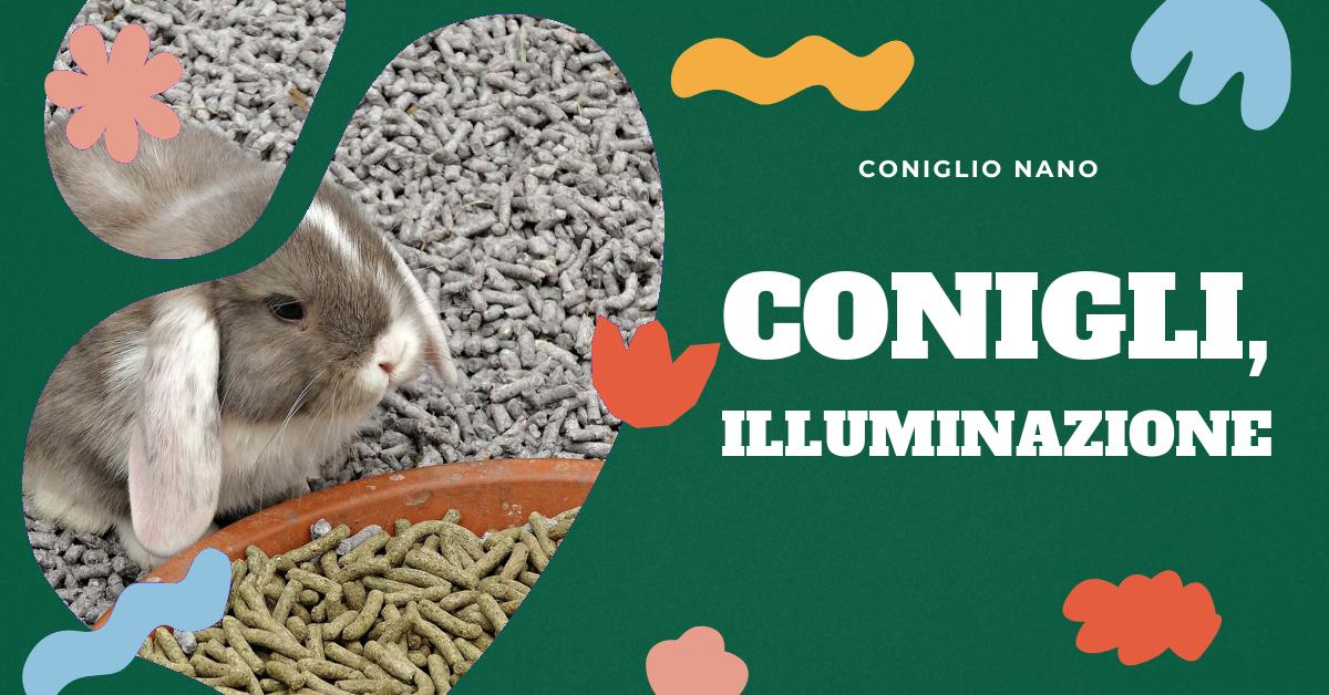 Scopri come l