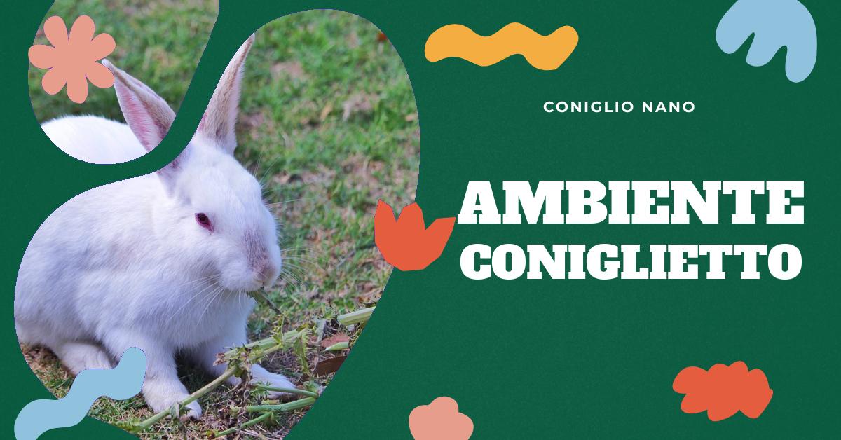 Scopri dove sia meglio tenere un coniglio domestico, se in appartamento o in giardino. Trova consigli su come allestire la gabbia perfetta, gli accessori indispensabili e come prendersi cura del tuo coniglio nano per garantirgli il massimo benessere.