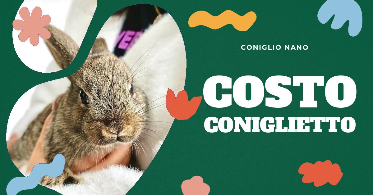 Scopri tutto sul coniglio nano ariete, dalle sue caratteristiche uniche alla cura necessaria. Trova le migliori gabbie e scopri cosa mangia per mantenere la sua salute. Ottieni informazioni sul prezzo di un coniglio nano ariete e preparati per il tuo nuovo amico peloso.