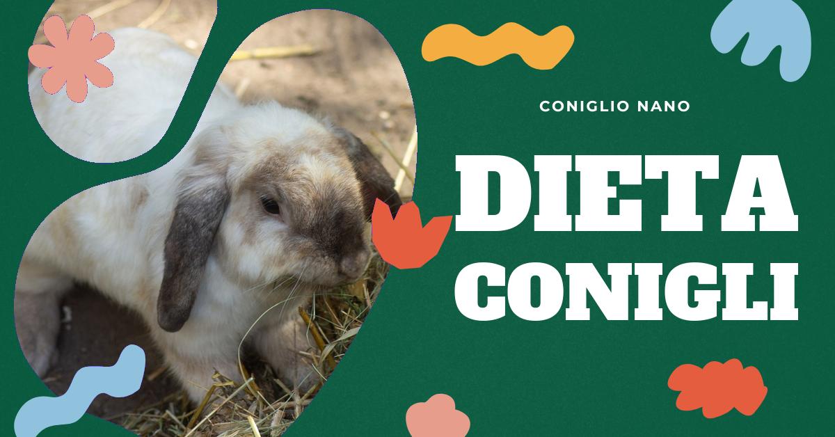 Scopri quali verdure sono sicure e salutari per i tuoi conigli. Trova informazioni dettagliate sulla corretta alimentazione dei conigli, i pericoli dei mangimi commerciali e l