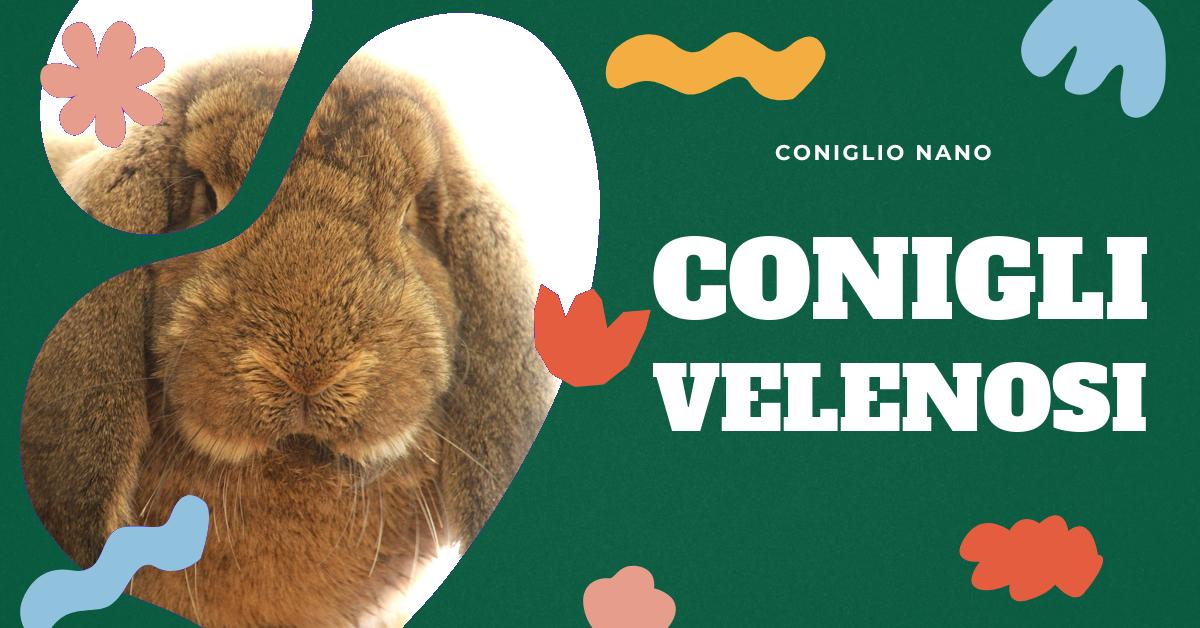 Scopri quali piante possono essere velenose per i tuoi conigli domestici. Informazioni dettagliate su erbe dannose, piante velenose come Abete, Acetosella e Aconito. Proteggi il tuo coniglio da potenziali pericoli.