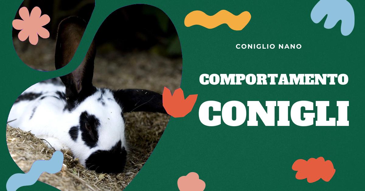 Scopri cosa significa quando il tuo coniglio si mette a pancia in su. Approfondisci il comportamento dei conigli, dalle posizioni di riposo come sdraiato a terra e sfloppare, ai segnali di comunicazione come strusciare il mento e muovere il naso. Ottieni informazioni preziose per capire meglio il tuo amico peloso.