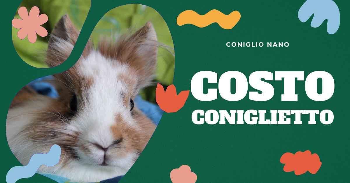 Scopri tutto sul coniglio nano: razze, dimensioni, comportamento e come allevare questo adorabile animale domestico. Trova informazioni dettagliate sul prezzo di un coniglio nano e i costi associati alla sua cura. Ideale per gli amanti dei conigli domestici.