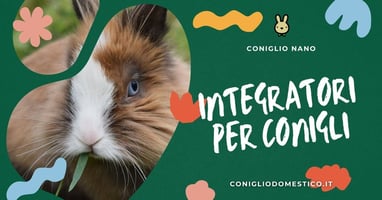 integratori-per-conigli