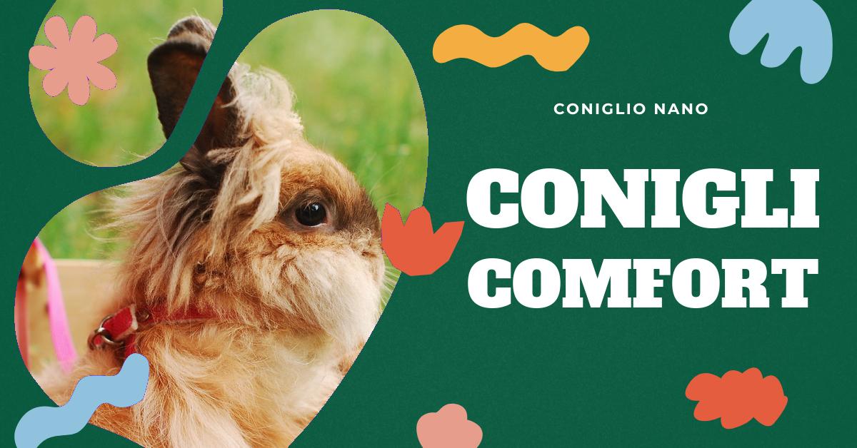 Scopri la nostra selezione di lettini per conigli di pregio, 100% Made in Italy. Trova il letto perfetto per il tuo coniglio domestico, scegli tra 7 varianti per ogni gusto. Approfitta della nostra garanzia di qualità su ogni lettino.