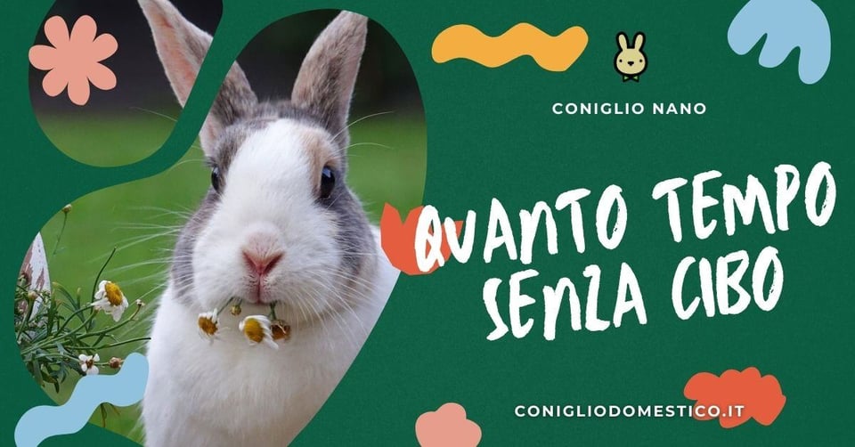 quanto-tempo-senza-cibo