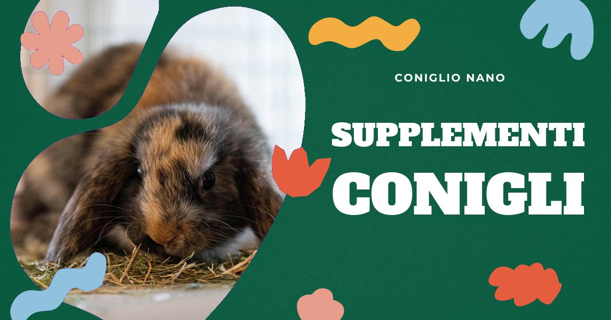 Scopri quali supplementi e vitamine possono rafforzare il sistema immunitario del tuo coniglio nano in inverno. Approfondisci la conoscenza su agenti patogeni, meccanismi di difesa, l