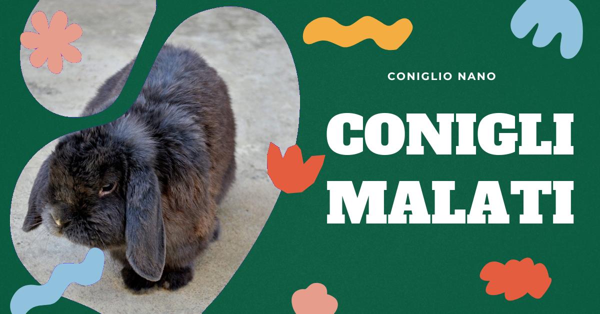 Scopri tutto sulla rogna sarcoptica nel coniglio: sintomi, cause, trattamenti e consigli per la gestione in casa. Approfondisci le lesioni causate da Psoroptes cuniculi e le relative conseguenze. Informazioni dettagliate per gli amanti dei conigli domestici.