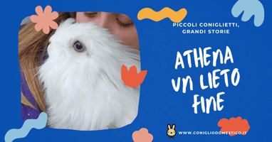athena-un-lieto-fine