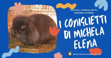 piccoli-coniglietti-grandi-storie-i-coniglietti-di-michela-elena