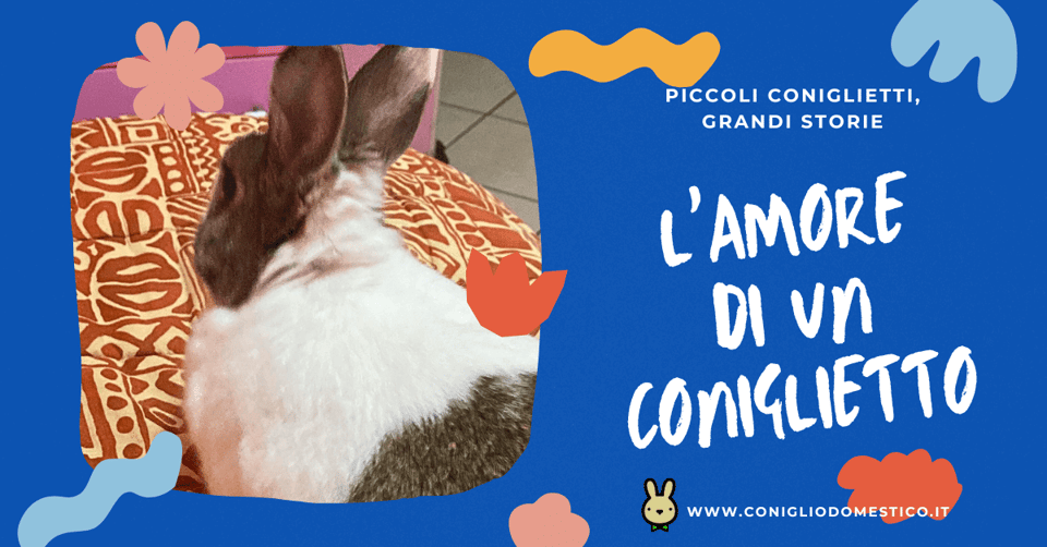 piccoli-coniglietti-grandi-storie-l-amore-di-un-coniglietto-comp