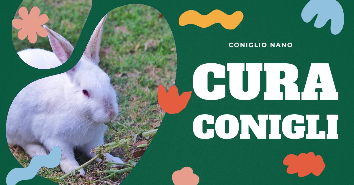 Come Sciogliere i Nodi al Coniglio: Consigli per Prevenire e Rimuovere Nodi  nel Pelo del Tuo Coniglio Domestico