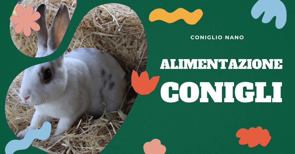 La Voce Dei Conigli - IL FIENO PER CAVALLI E' IL MIGLIORE! E' fondamentale  nell'alimentazione quotidiana del coniglio. Deve essere verde, profumato e  privo di polveri e muffe. Inoltre per i conigli