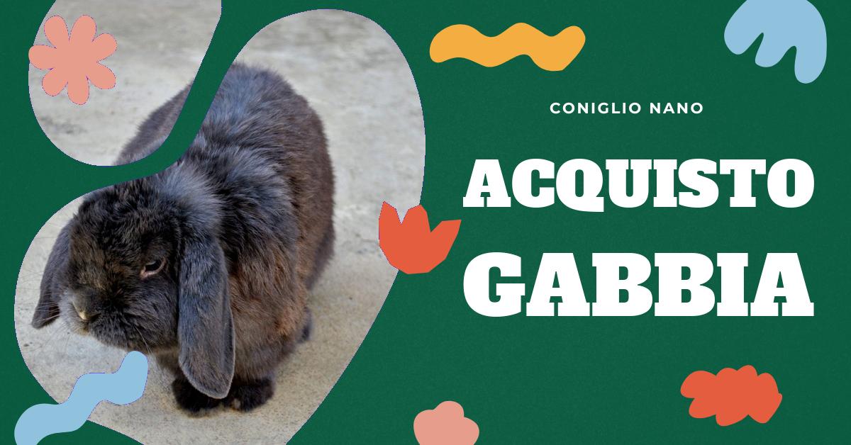 Gabbia per Conigli Nani, Animali & Pet