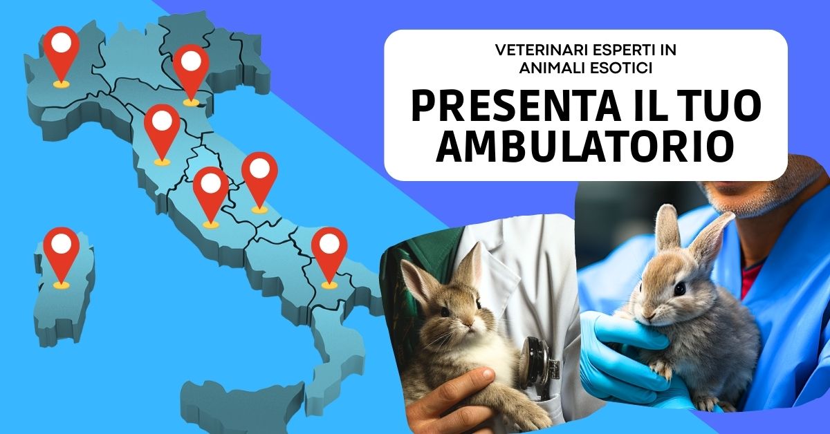 presenta-il-tuo-ambulatorio-veterinario